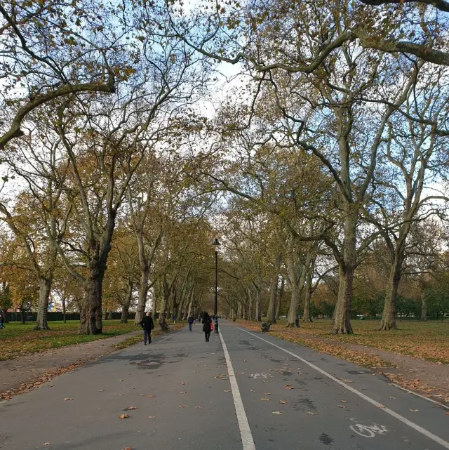 Peaceful Hyde Park