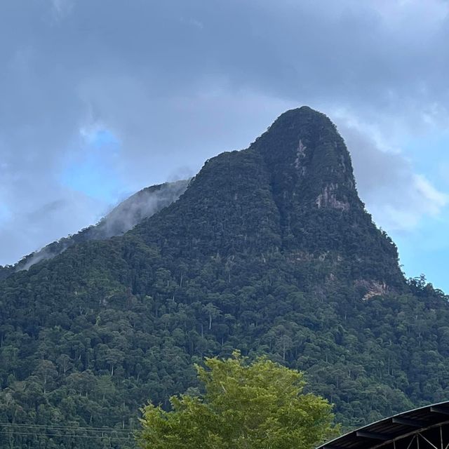 Sarawak, a great nature!