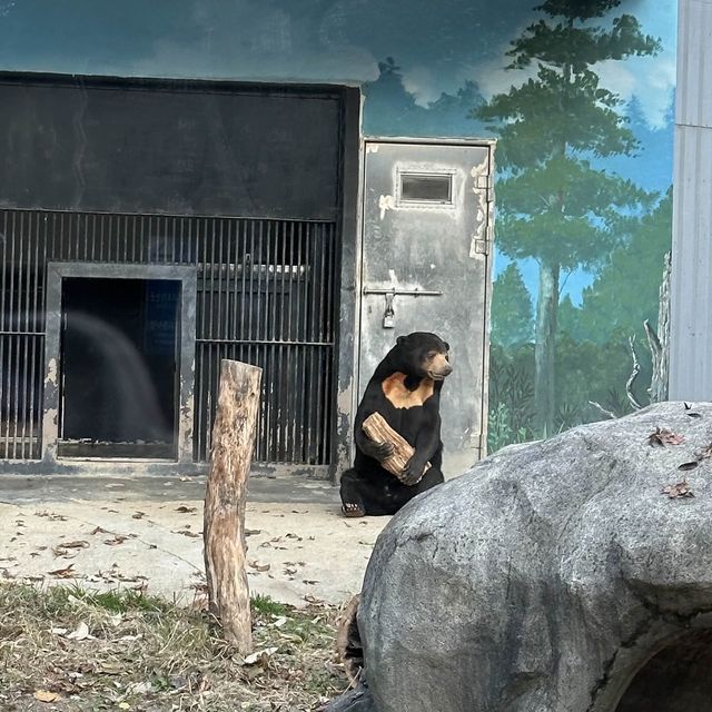 단풍 보며 데이트 하기 좋은 명소, 서울 대공원