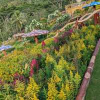 Jardin de Rachma 