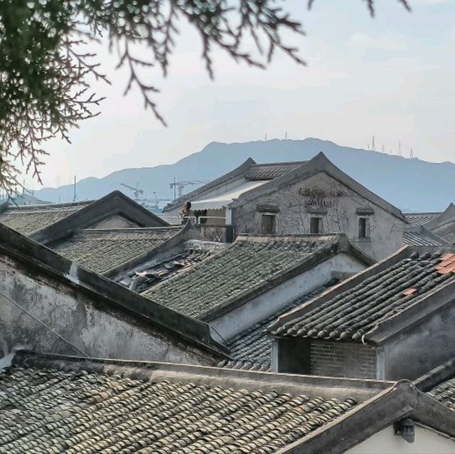 Artist heaven in Shenzhen