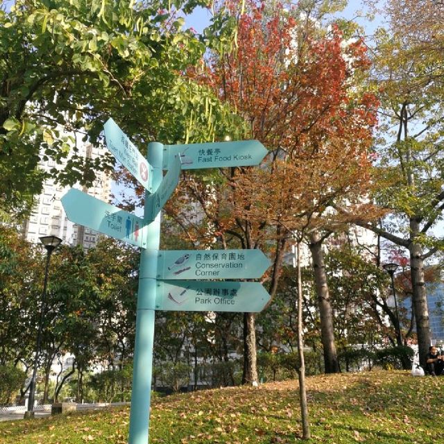 屯門公園❤️❤️