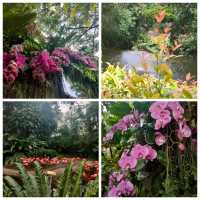最後機會～新加坡裕廊飛禽公園