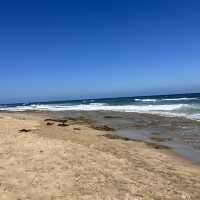 Beach in Anglesea 