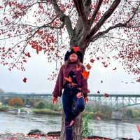 The beauty of fall in Maine, USA 2022