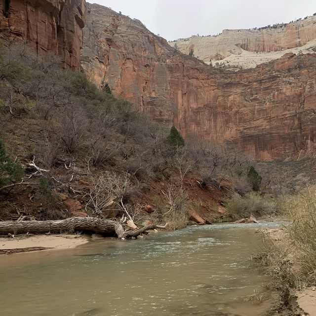 Zion Adventure 