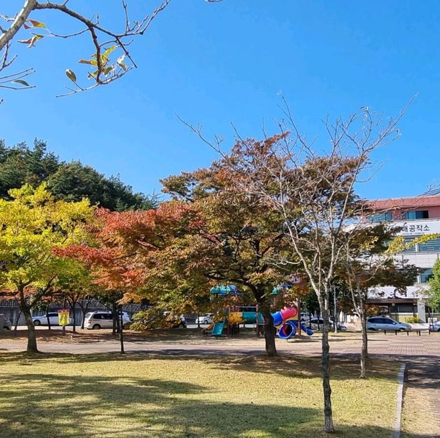 Dalmaji Park 