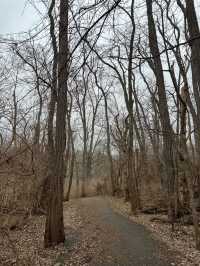 Dublin Riverside Trail - Dublin, Ohio 