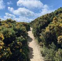 Howth - an essential day trip