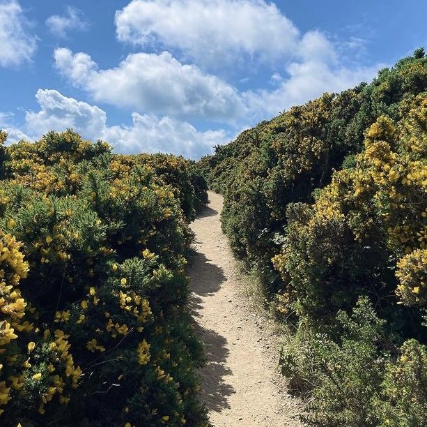 Howth - an essential day trip