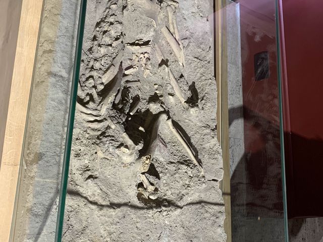 科索沃景點-科索沃博物館