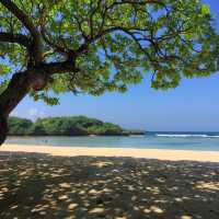 Amazing Day in Bali!