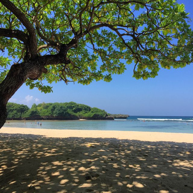 Amazing Day in Bali!
