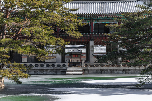 서울 겨울 여행 "경복궁 설경"