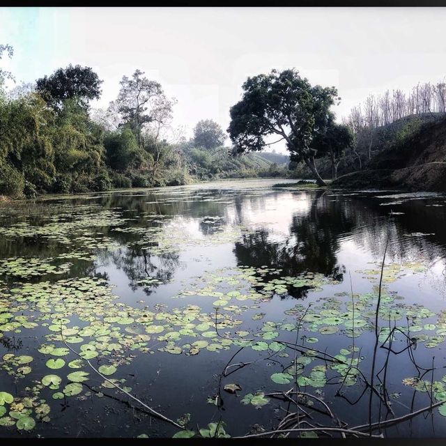 Baikka Beel Wetland Sanctuary