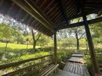 Into the Woods, Hangzhou west lake scenery 