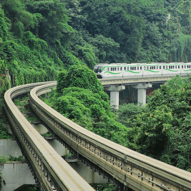重庆李子坝｜无人机位 俯瞰轻轨