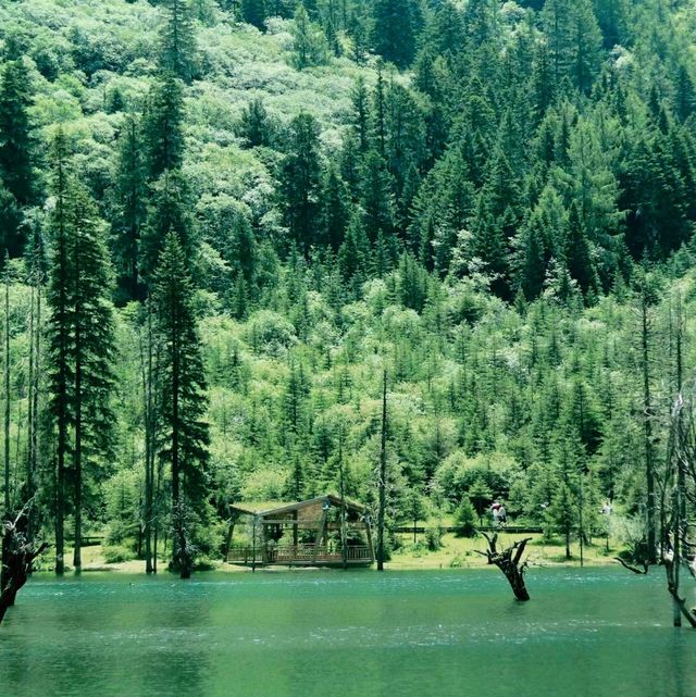 Shuangqiao Valley in Aba