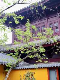 The wise do not enter the river of love, young people worship Buddha for wealth, and Nanjing has accurate and spiritual places to seek wealth.