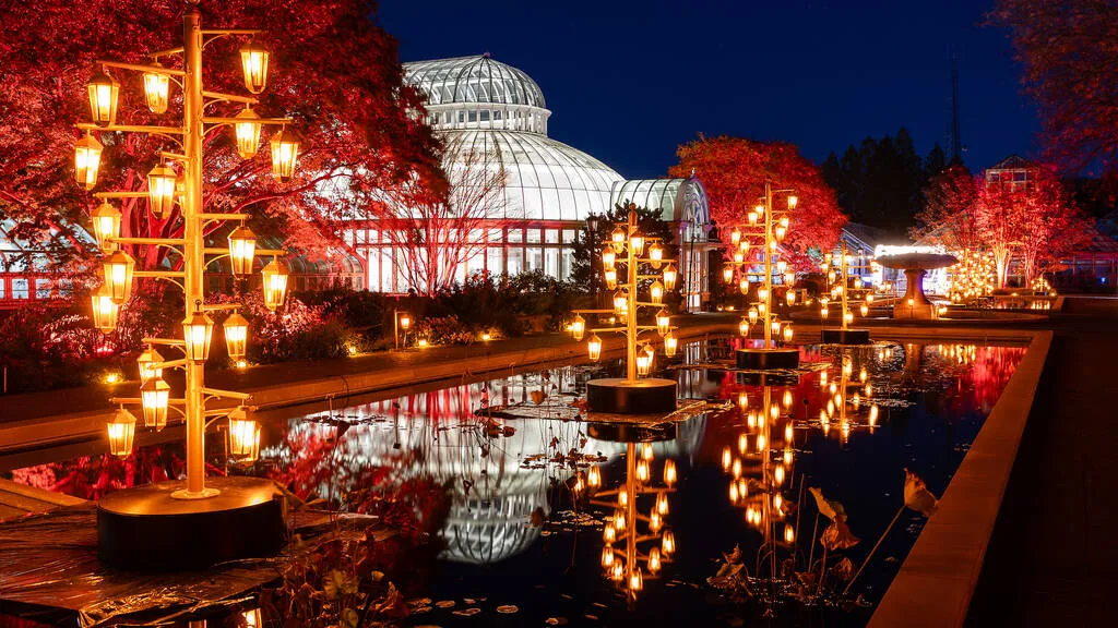 Lightscape at Brooklyn Botanic Garden | Brooklyn Botanic Garden
