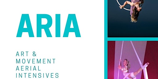 2024 April Aria Aerial Intensive 1 Week | The Barnes Institute