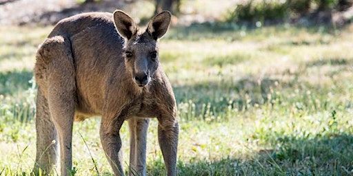Churchill Park Walk | Churchill National Park