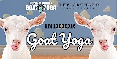 Indoor Goat Yoga - April 20th (Orchard Town Center) | The Orchard Town Center