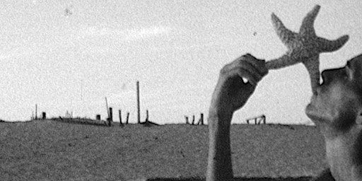 Derek Jarman: A Busy Day | The Dowse Art Museum