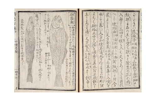 Curatorial Tour: Better on Paper with Dr. Yuhua Ding | Davis Museum