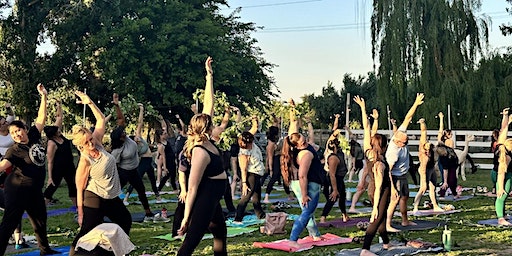 Wine Down with Alpaca Yoga | Macedo's Mini Acre