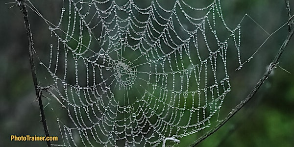 DSLR/M Camera Jumpstart Class | 446 Poppy Pl