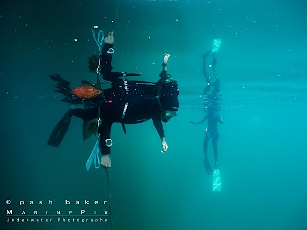 One Day  RAID Foundation Freediver Course | Vobster Quay