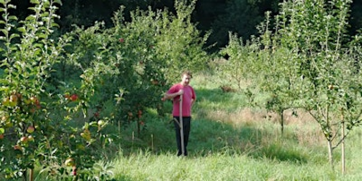 Scything Workshop | Woodcroft Community Orchard