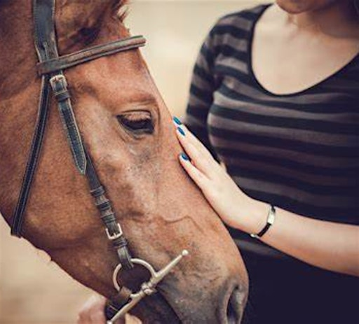 Equine Assisted Psychotherapy Training Workshop | Smiling Faces Equestrian