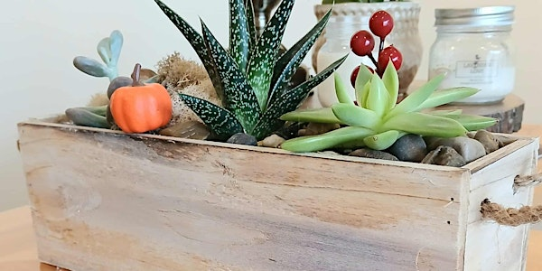 Fall Terrarium Workshop | 15 Surrey St W #3