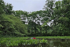Headwaters of the Choptank  Paddle - 2026 - Sultana Education Foundation | Greensboro Boat Ramp in the Greensboro Community Park