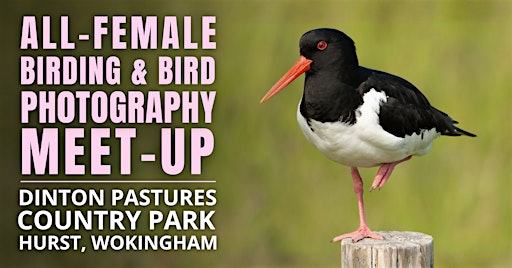 All-Female Birding & Bird Photography Morning | Dinton Pastures Country Park