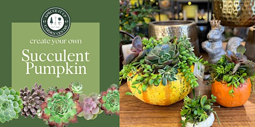 Succulent Pumpkin Workshop | Spruce It Up Garden Centre Open Year Round