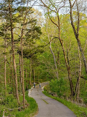 Forest Immersion: Nature Rx with Russ Turpin | Floracliff Nature Sanctuary
