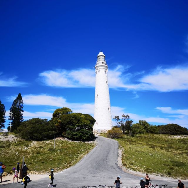 Rottnest island 