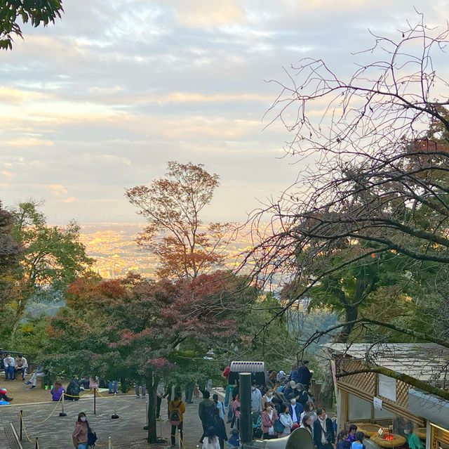 登らない高尾山の楽しみ方