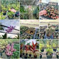 ร้านอาหารสำหรับครอบครัว กิจกรรมเยอะ