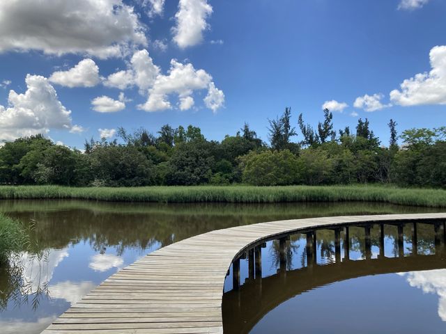 濕地公園生態遊🦋