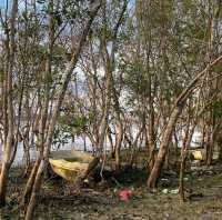 Seletar Fishing Village