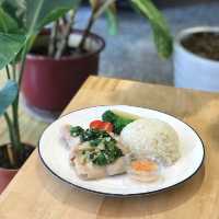 板橋寵物友善咖啡廳☕️foliage cafe圓圓小鬆餅🥞聖誕節🎄限定！