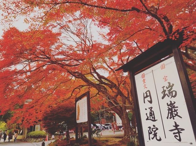 松島　円通院
