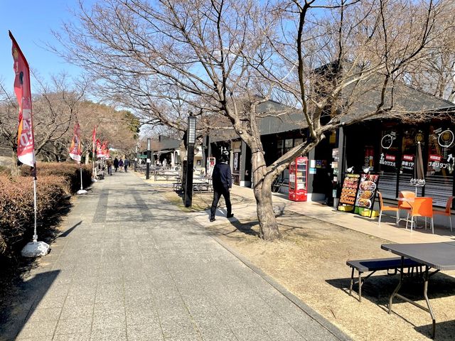 名古屋グルメがたくさん！観光にもオススメスポット🍚【金シャチ横丁】