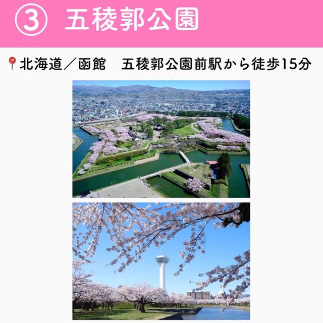 この春行きたい！お花見スポット7選