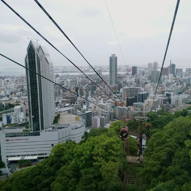 [神戸]短歌にも歌われた神戸の滝✨「布引ハーブ園」