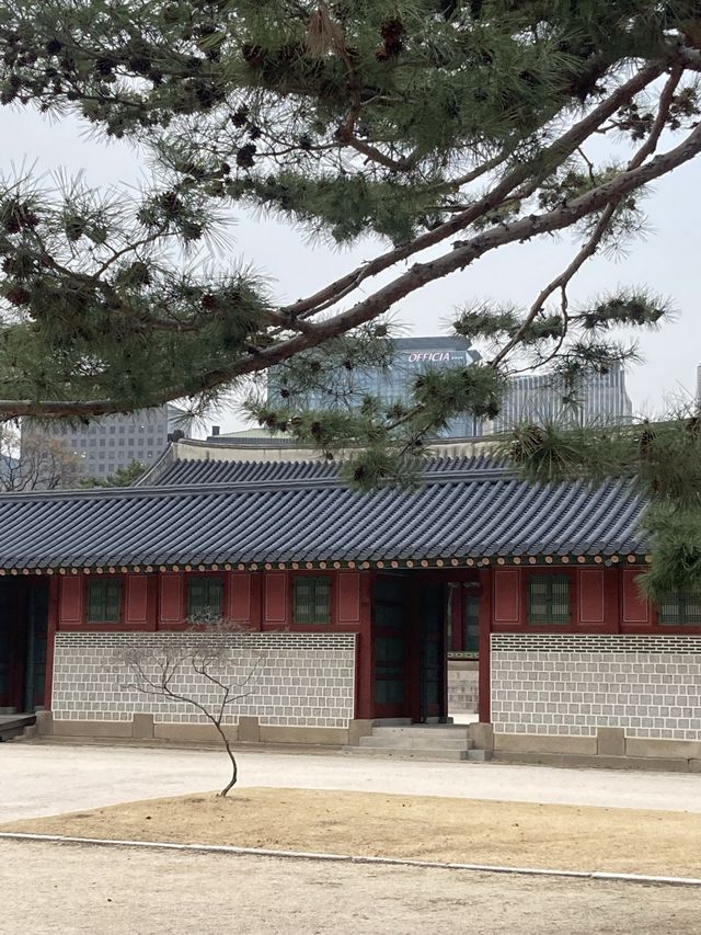 도심 속 궁투어